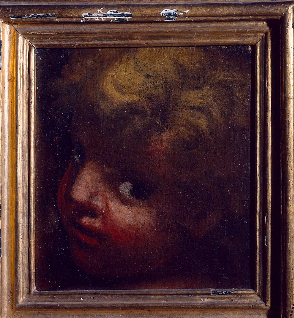 Testa d'angelo - Pinacoteca Nazionale di Bologna